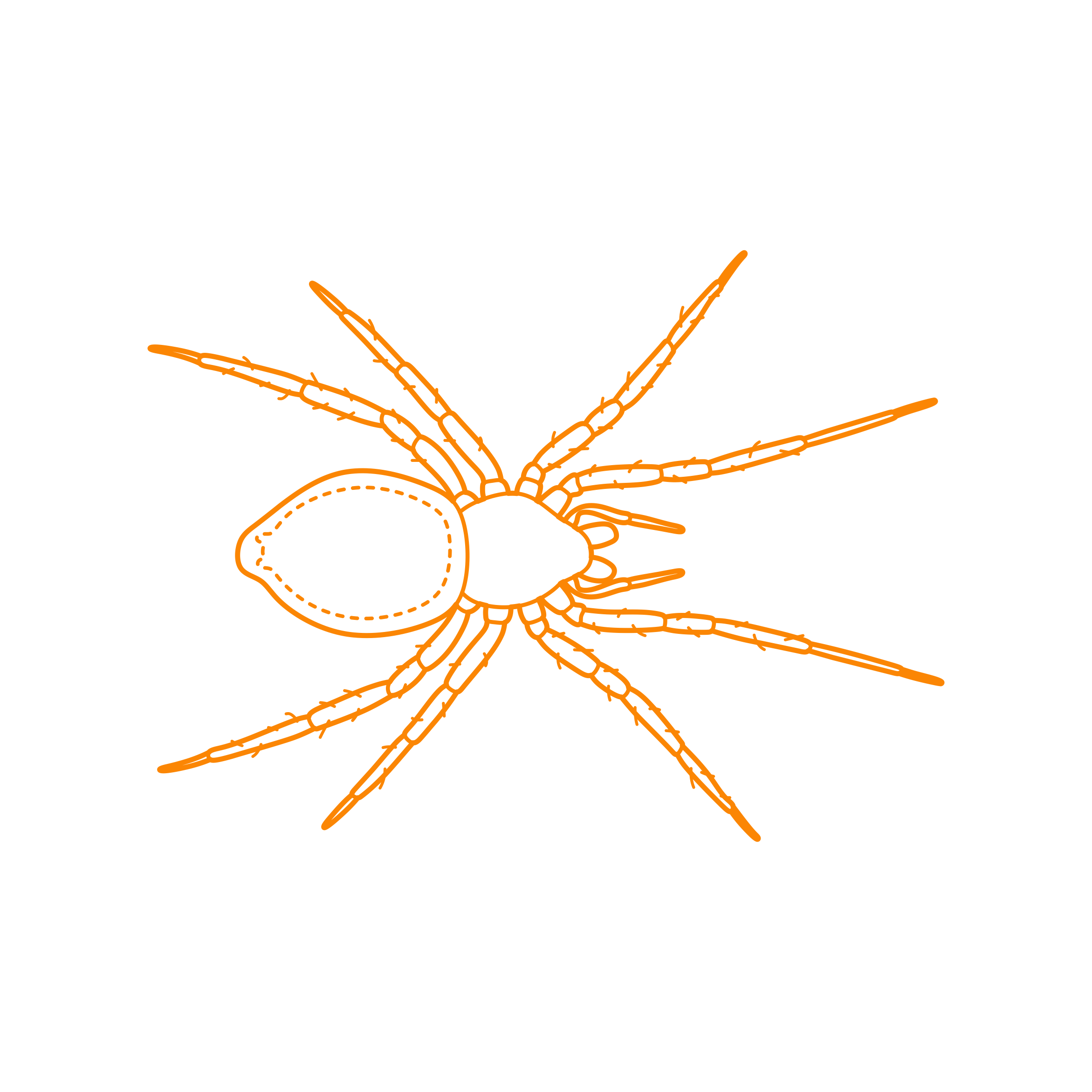 Animals Arachnids Water Spider Diving Bell Spider Sketch Style Svg Vector Free Vectors